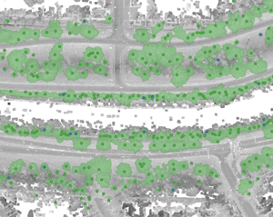 Urban Forestry