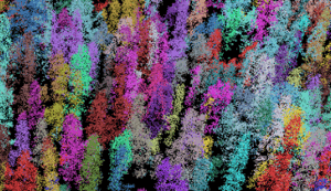 Capture d’écran 2026-02-10 154340