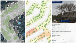 Foresterie urbaine