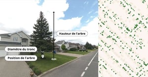Inventaire_arbre